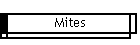Mites